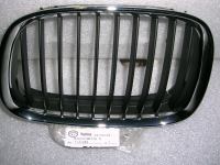 Griglia Ant. Sx BMW Serie 5 E39 '95
