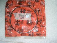 Cornice Faro Ant. Alfa Romeo Alfetta