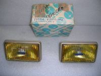 Fendinebbia Destro E Sinistro Fiat Ritmo 105 Oro