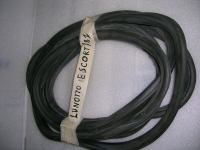 Guarnizione Lunotto Ford Escort '81