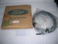 Guarnizione Lunotto Ford Escort '91