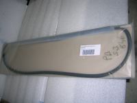 Guarnizione Parabrezza BMW Serie 3 E46