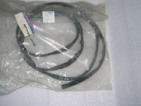 Guarnizione Lunotto Seat Toledo