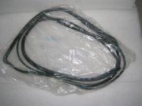 Guarnizione Parabrezza Lancia Lybra '99