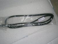 Guarnizione Parabrezza Toyota Corolla Verso 2002-2004