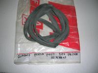 Guarnizione Porta post. Dx Lancia Prisma 