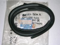 Guarnizione Porta Ant. Lancia Beta B.