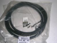 Guarnizione Porta Anteriore Destra = Sinistra  Renault Captur