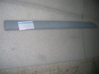 Modanatura Porta Ant. Sx con Primer Ford Focus 