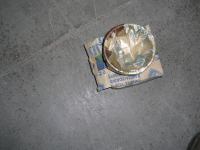 Serie Fasce  Elastiche Maggiorate 0,2  Lancia Flavia