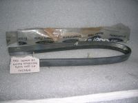 Guarnizione Inferiore Porta Posteriore Sinistra Ford SIerra 87'