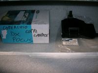 Coperchio Copri Lampade Destro Ford Focus