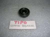 Gommini Radiatore Fiat Tipo