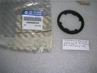 Guarnizione Ghiera Bochettone Benzina Fiat Panda-Autobianchi Y 10