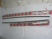 Guarnizione Gocciolatoio Destro E Sinistro Lancia Delta 82'