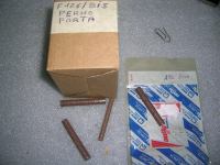Perno Porta Fiat 126