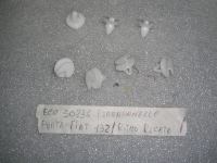 Fermapannello Porta Fiat 132 Ritmo Regata 