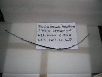 Profilo Cromato Modanatura Sinistra Anteriore Mercedes Classe E Dal 2002 Al 2007