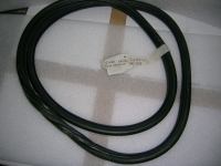 Guarnizione Parabrezza Ford  Fiesta '90 Con Inserto 