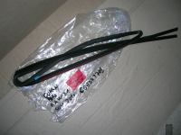 Guarnizione Parabrezza BMW X1