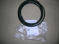 Guarnizione Lunotto Lancia Y96 Autobianchi 