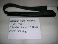 Guarnizione Vetro Scendente Porta Posteriore Destra Fiat Grande Punto 5 Porte 