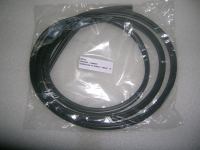 Guarnizione Parabrezza Renault Kangoo 97