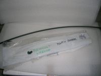 Profilo Parabrezza Renault Laguna 