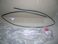 Guarnizione Parabrezza Ford Focus C.Max 2003