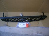 Griglia  Ford Focus Dal 01