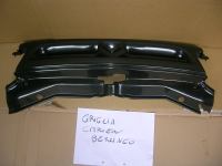 Griglia Radiatore Citroen Berlingo 1996-2002