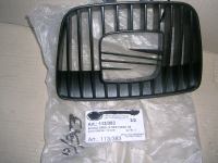 Scudo Griglia Seat Ibiza DAL 2000
