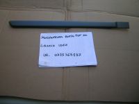 Modanatura Porta Posteriore Destra Lancia Idea 