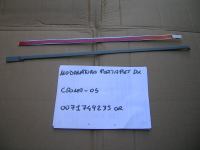 Modanatura Porta Posteriore Destra Fiat Croma 2005-2010