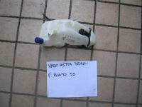 Vaschetta Tergicristalli Fiat Punto 55