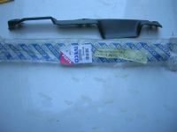 Modanatura Interna Maniglia Appiglio Destra Iveco Eurocargo\tector