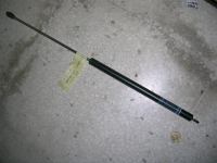 Molla A Gas Portellone Citroen Bx