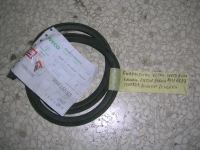 Guarnizione Vetro Fisso Anteriore Destro = Sinistro Iveco Eurocargo 