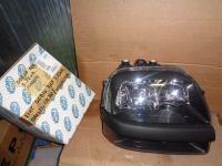 Proiettore Destro Senza Fendinebbia Fiat Doblo' 