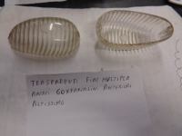 Trasparente Anteriore Fiat Multipla Anni 1960  