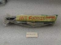 Molle A Gas Anteriore Ford Focus Prima Serie 