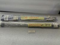 Molle A Gas Posteriore Skoda Octavia Senza Spoiler Dal 2005 Al 2009 