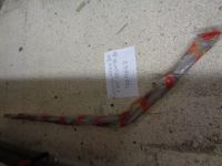 Gocciolatoio Destro Fiat Regata Del 1986 