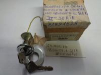 Cilindretto Cruscotto interno Senza Chiave Per Lancia Beta Seconda Serie 