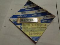 Scritta Bertone Fiat Punto Cabrio 1994-1999