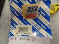 Scritta Posteriore SX Fiat Punto Dal 1999-2003