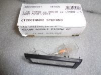 Fanalino Luce Targa Dacia Logan 2013